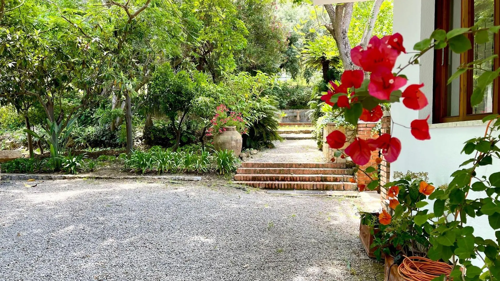 Villa Tana Pacenzia Cefalu