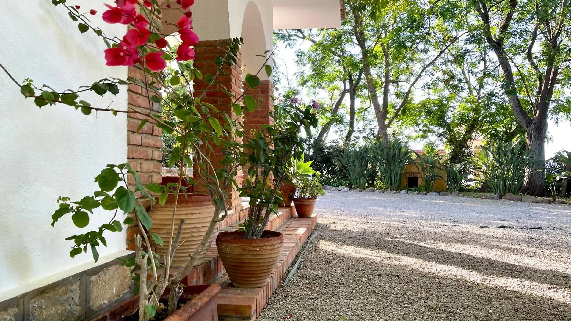 Villa Tana Pacenzia Cefalu